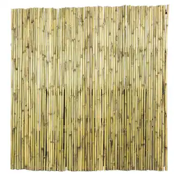 Karwei Bamboe Schutting naturel ca. 180x180 cm aanbieding