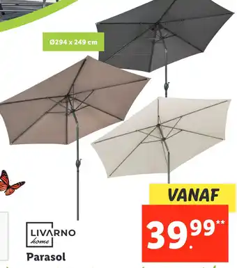 Lidl Parasol aanbieding