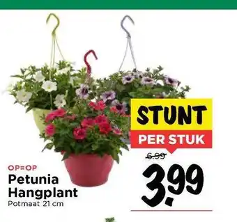 Vomar Voordeelmarkt Petunia Hangplant aanbieding