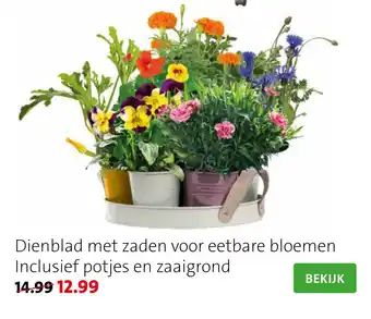 Intratuin Dienblad met zaden voor eetbare bloemen aanbieding