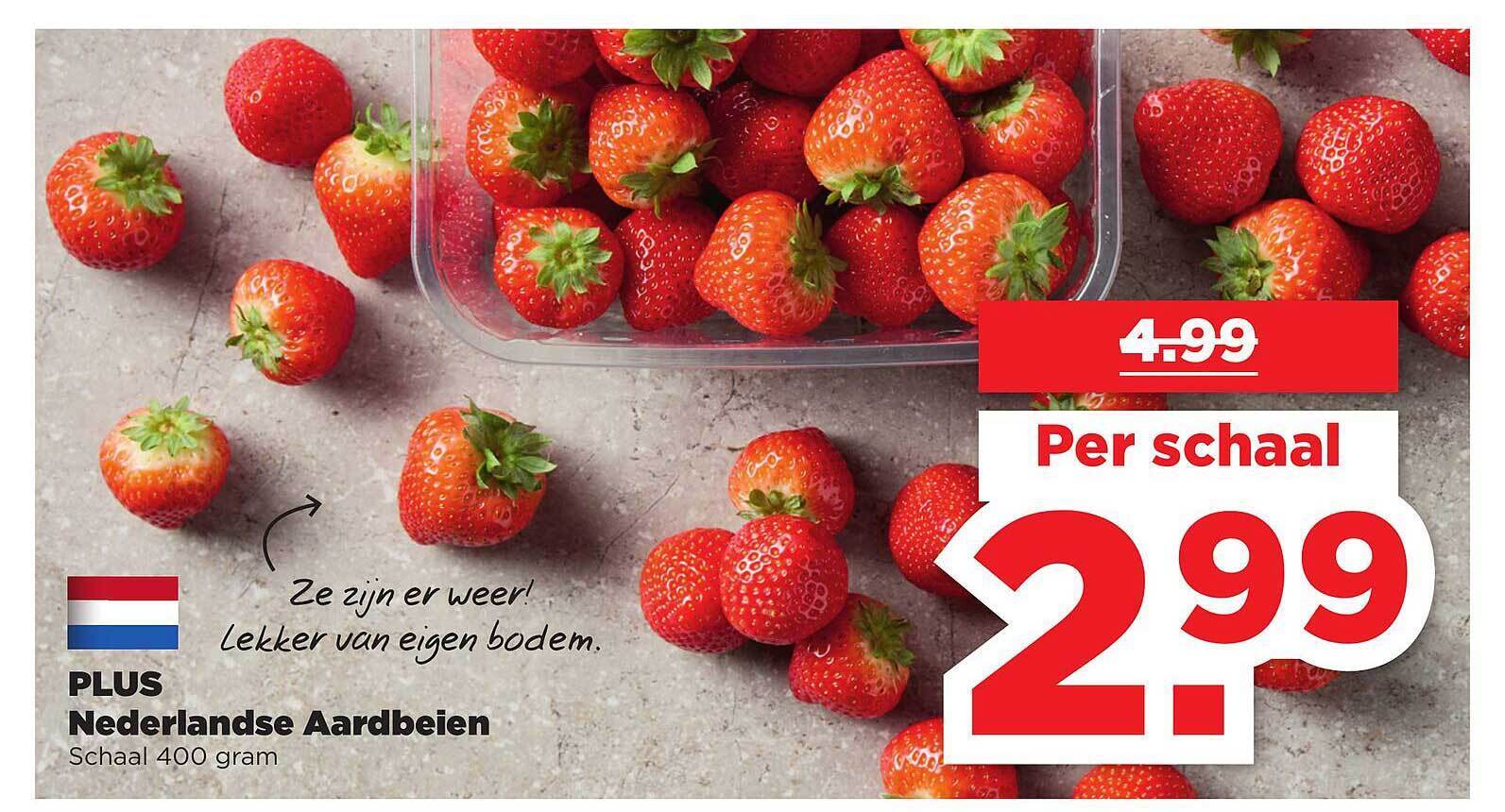 Plus Nederlandse Aardbeien aanbieding bij PLUS