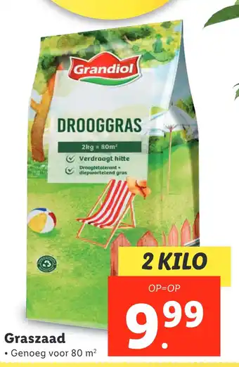 Lidl Graszaad aanbieding