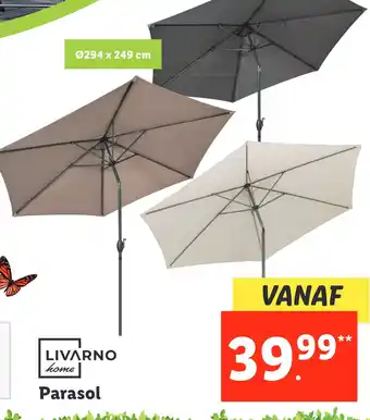 Lidl Parasol aanbieding