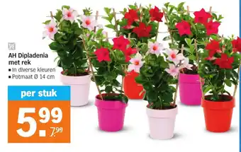 Albert Heijn Dipladenia met rek 14 cm aanbieding