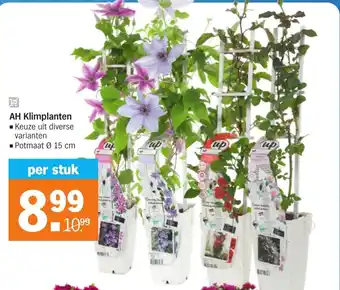 Albert Heijn Klimplanten 15 cm aanbieding