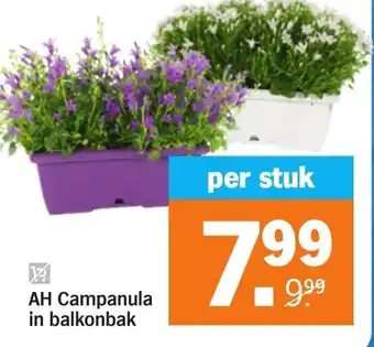 Albert Heijn Campanula in balkonbak aanbieding