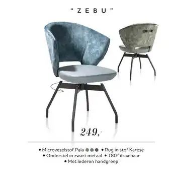 Xooon "Zebu" aanbieding