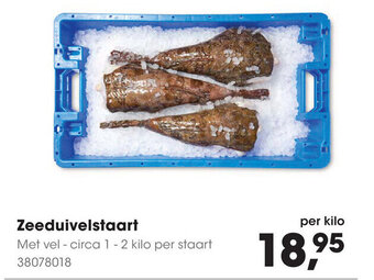 HANOS Zeeduivelstaart aanbieding