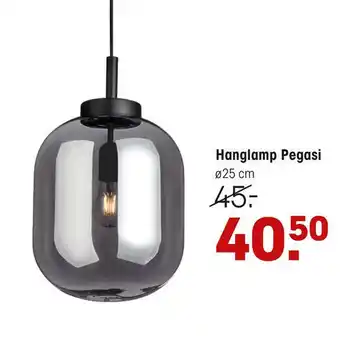 Kwantum Hanglamp pegasi zwart aanbieding