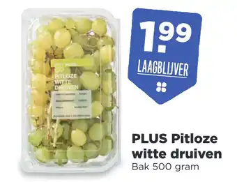 PLUS PLUS Pitloze witte druiven 500 gram aanbieding