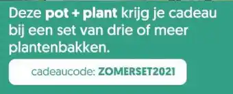 Upperbloom Upperbloom kortingscode: zomerset2021 aanbieding