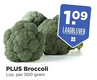 PLUS PLUS Broccoli 500 gram aanbieding