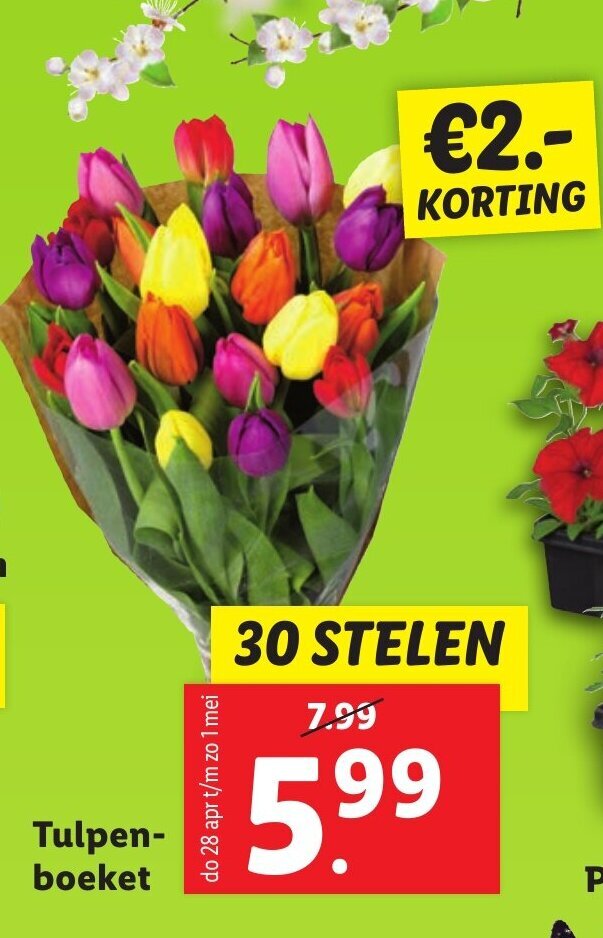 Tulpen boeket 30 stelen aanbieding bij Lidl
