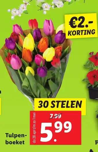 Lidl Tulpen- boeket 30 stelen aanbieding