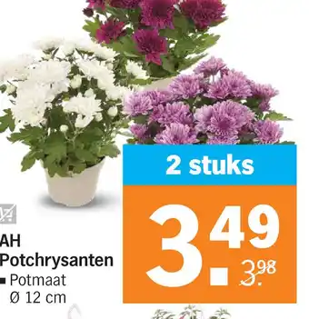 Albert Heijn AH Potchrysanten aanbieding