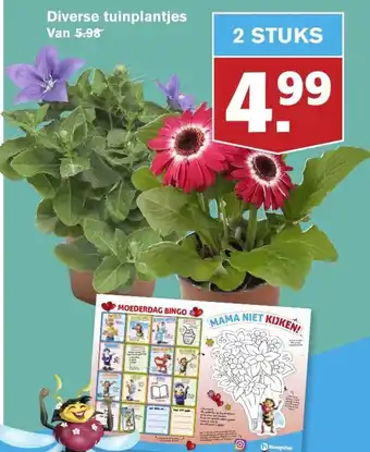 Hoogvliet Diverse tuinplantjes aanbieding