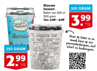 Hoogvliet Blauwe bessen 500g aanbieding