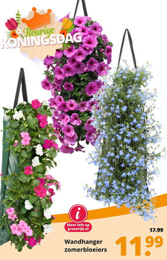 GroenRijk Wandhanger zomerbloeiers aanbieding