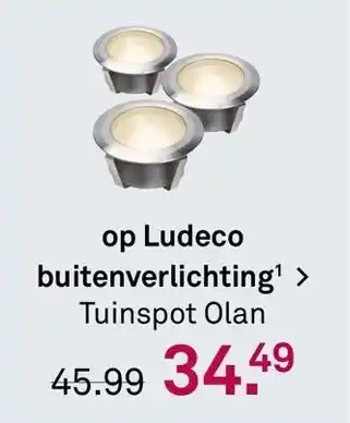 Karwei Tuinspot Olan aanbieding