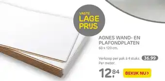 Praxis Agnes Wand- En Plafondplaten aanbieding