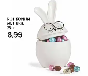 Xenos Pot Konijn Met Bril 25cm aanbieding