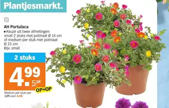 Albert Heijn AH Portulaca 2st aanbieding