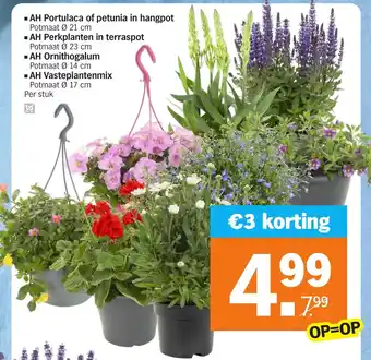 Albert Heijn AH Portulaca of petunia in hangpot, AH Perkplanten in terraspot, AH Ornithogalum, AH Vastepplantenmix aanbieding