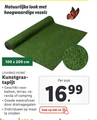 Lidl LIVARNO HOME Kunstgras- tapijt aanbieding