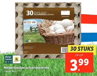 Lidl Nederlandse scharreleieren Maat M/L aanbieding