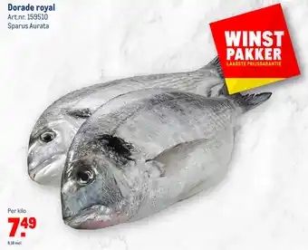 Makro Dorade royal aanbieding