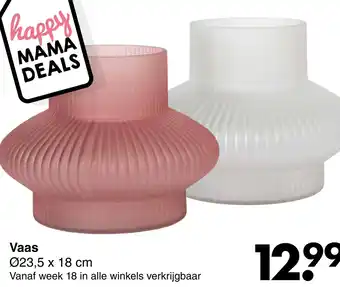 Wibra Vaas aanbieding