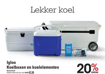 Sligro Igloo Koelboxen En Koelelementen aanbieding