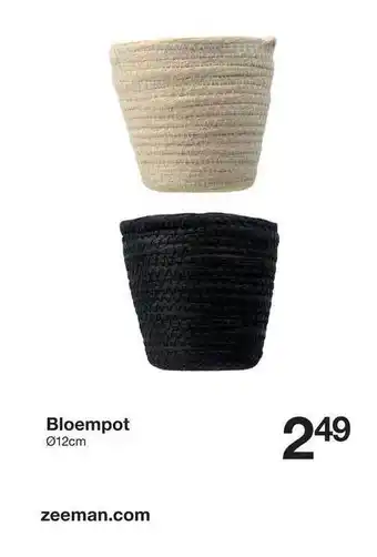 Zeeman Bloempot aanbieding