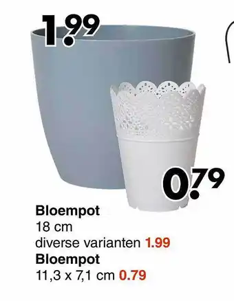 Wibra Bloempot aanbieding