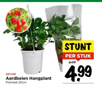 Vomar Voordeelmarkt Aardbeien Hangplant 20 cm aanbieding