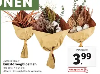 Lidl Livarno home Kunstdroogbloemen 44-54 cm aanbieding