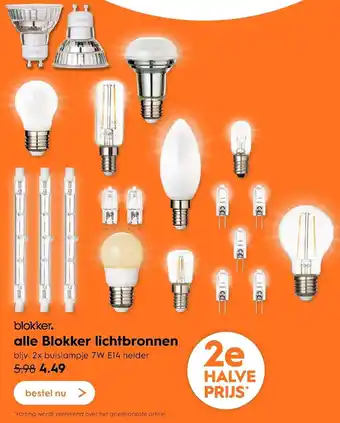 Blokker Blokker Lichtbronnen aanbieding