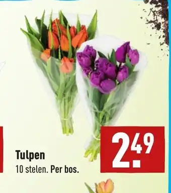 ALDI Tulpen 10 stelen aanbieding