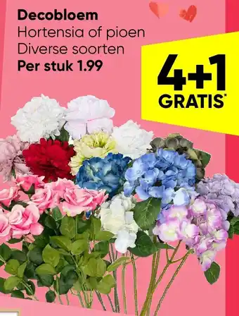 Big Bazar Decobloem aanbieding