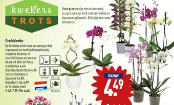 ALDI Orchideeën aanbieding