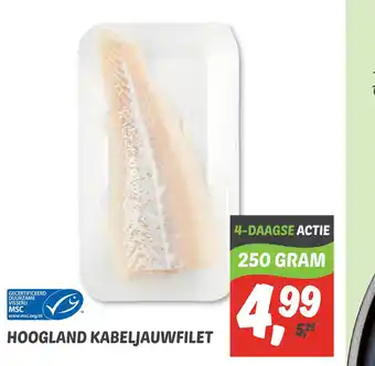 Dekamarkt Hoogland Kabeljauwfilet aanbieding