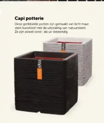 Aveve Capi potterie aanbieding