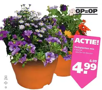 Ranzijn Perkplanten Mix aanbieding