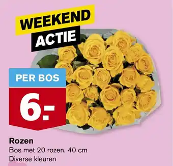 Hoogvliet Rozen 40 cm aanbieding