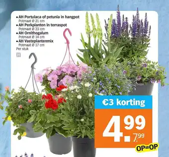Albert Heijn AH portulaca of petunia In hangpot, ah perkplanten in terraspot, ah ornithogalum of ah vasteplantenmix €3 Korting aanbieding
