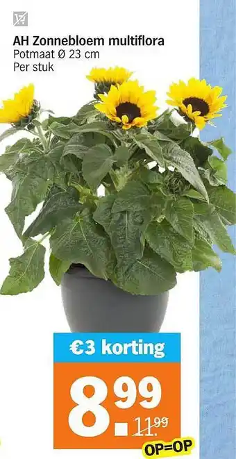 Albert Heijn AH Zonnebloem Multiflora €3 Korting aanbieding