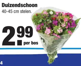 ALDI Duizendschoon aanbieding