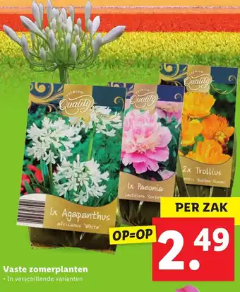 Lidl Vaste zomerplanten aanbieding