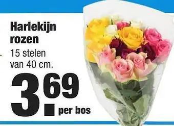 ALDI Harlekijn Rozen 40cm aanbieding