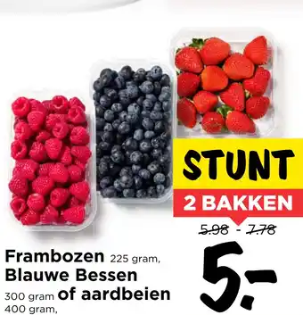 Vomar Voordeelmarkt Frambozen aanbieding